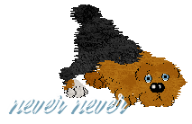 Never-Never