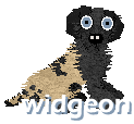 Widgeon