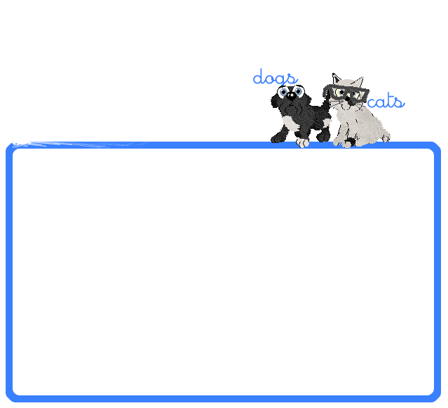  dimma 