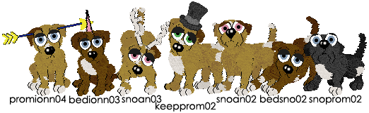 Tamsins (non-inbred)